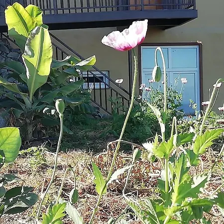 Apartment Cristina Sol H1 *